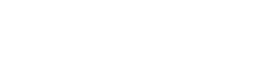 The Vitalize Group